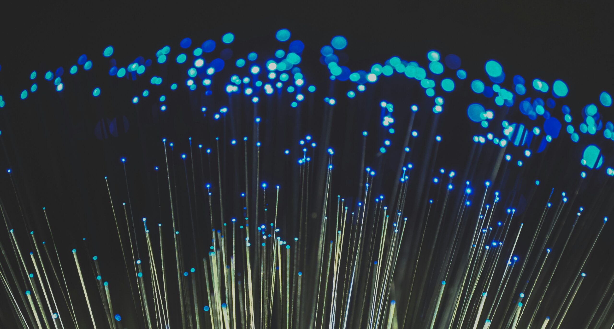 strands of optical network fibre